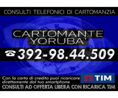 | 1 consulto telefonico di Cartomanzia con il Cartomante YORUBA' | Consulto con offerta libera |