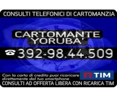 | 1 consulto telefonico di Cartomanzia con il Cartomante YORUBA' | Consulto con offerta libera |
