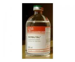 Species death with nembutal for both human and veterinary use .