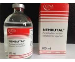 Peaceful and Painless death with Nembutal pentobarbital sodium  .