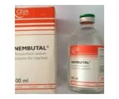 Nembutal pentobarbital sodium  Sterile solution
