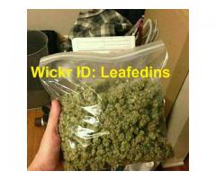 WICKR lD//Leafedins Charlie Shard Coke Ic Weed Bud Speed Puff  etc