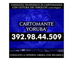 Ogni anno svolgo piu' di 3000 consulti di Cartomanzia telefonica: Cartomante Yoruba'